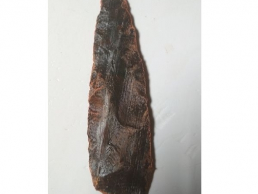 Willow Leaf Point